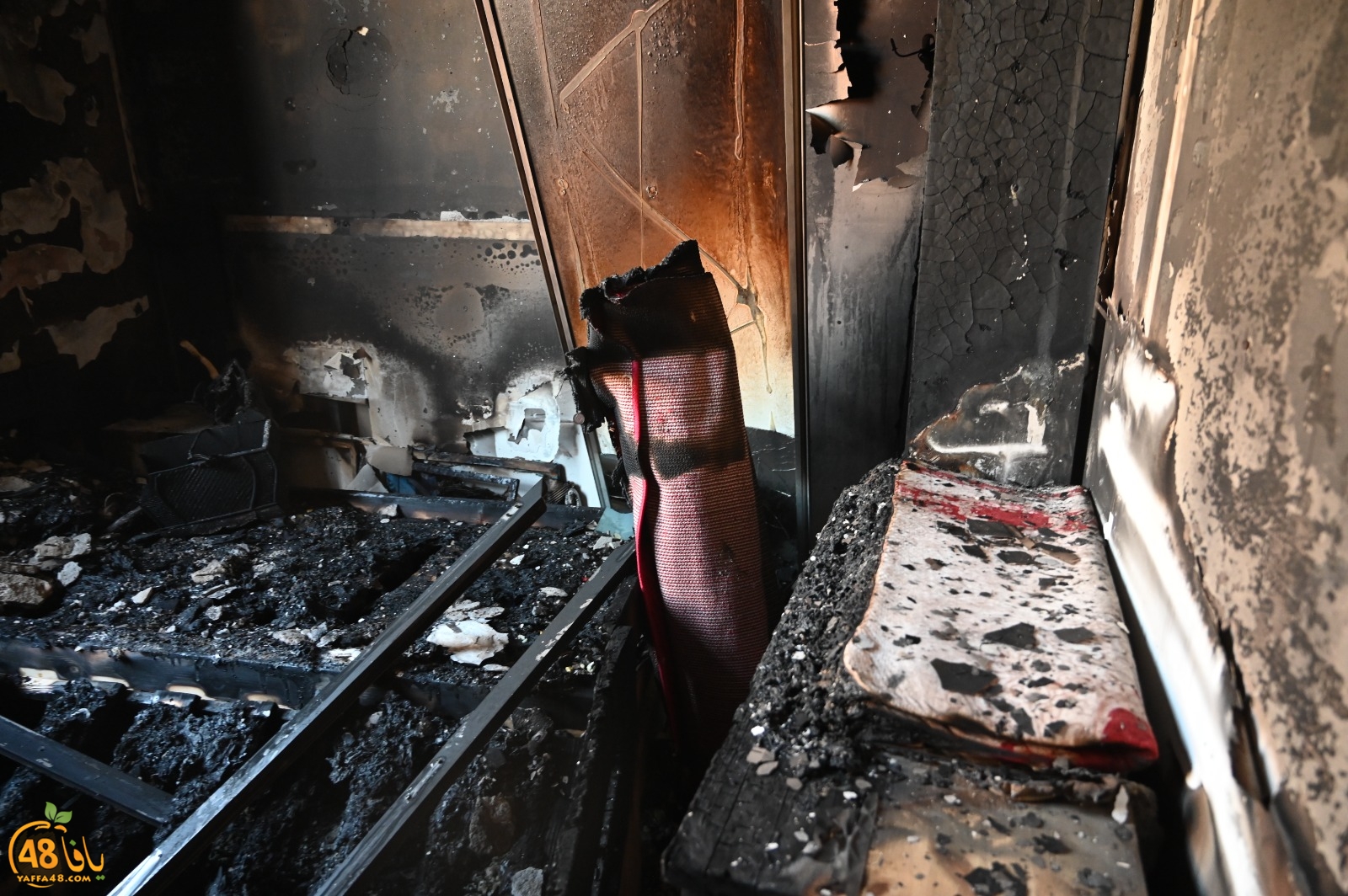 WhatsApp Image 2023-08-03 at 6.55.11 PM.jpeg